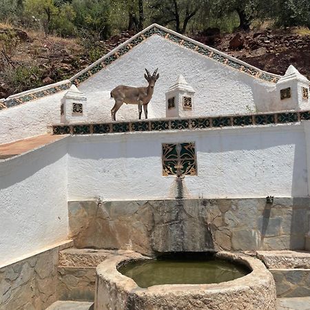 Comares Viva Espana מראה חיצוני תמונה