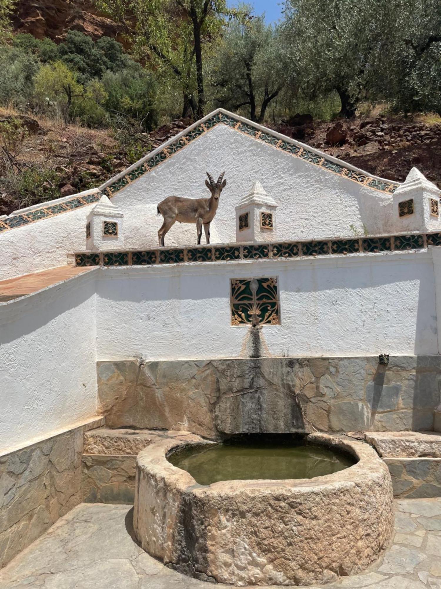 Comares Viva Espana מראה חיצוני תמונה